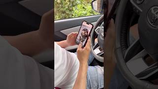 Dog Cute dog cutedog dogshorts