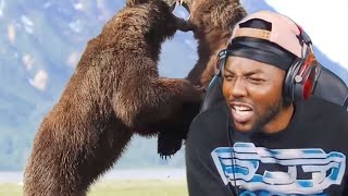 RDC REACT TO GRIZZLY BEARS FIGHTS!