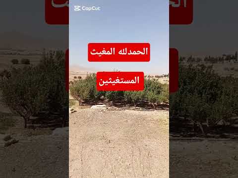 الحمدلله دائما وابدا دعاء الرزق  ترند يارب فوضت امري اليك سبحان الله  