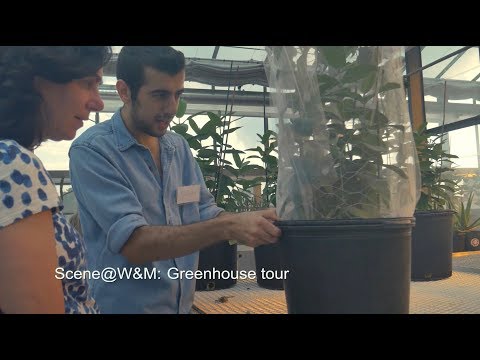 Scene@W&M: Greenhouse tour
