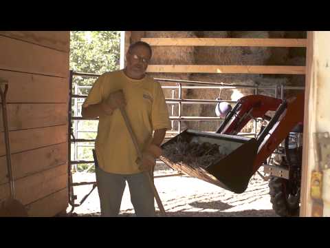 Cleaning Your Barn Stalls For Your Horses Health