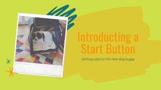 Using start button behaviour to help Breckin get used to his new chariot moving