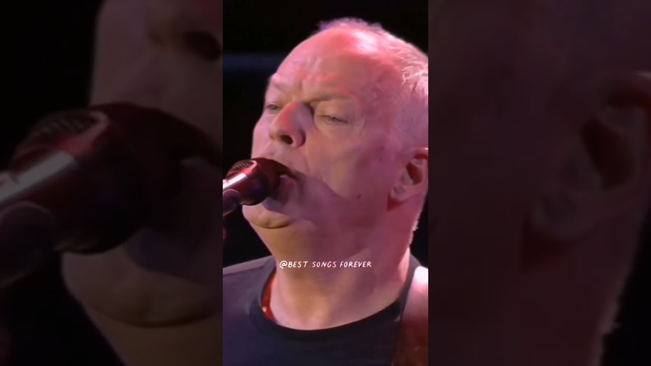 Pink Floyd - Comfortably Numb ❤ 