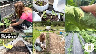 10 Mistakes New Gardeners Make (And How to Fix Them)