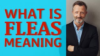 Fleas | Definition of fleas 📖 📖 📖 📖 📖