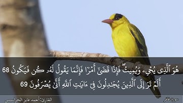 الصفحة 475 سورة غافر بصوت القارئ المهندس أحمد فايز الحراسيس
