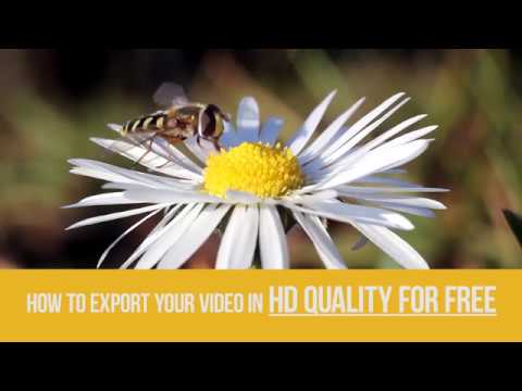 lifehack:-export-your-video-in-hd-quality-for-free-with-vsdc-video-editor