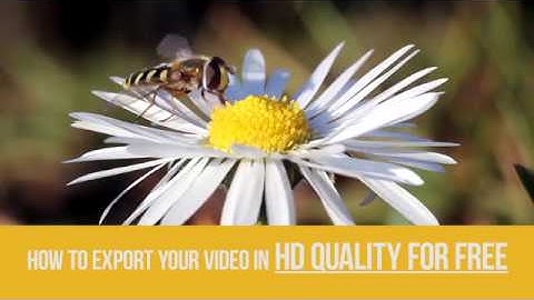Lifehack: export your video in HD quality for free with VSDC Video Editor