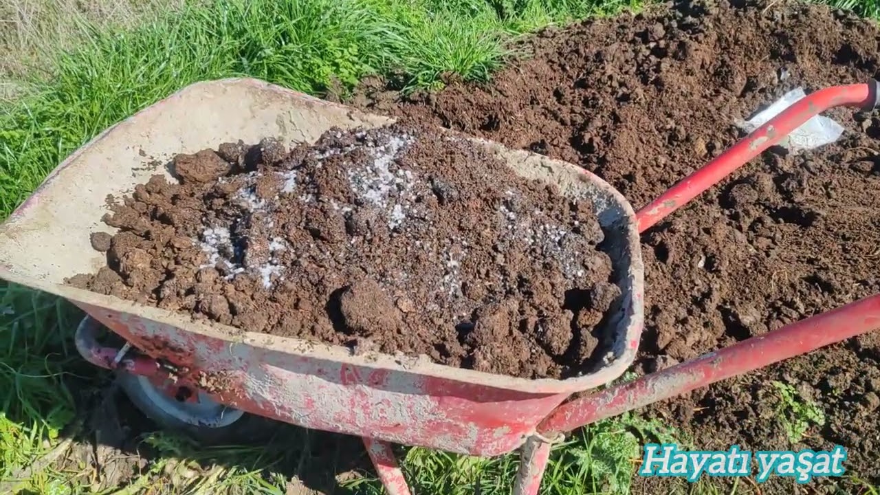Şok! Vakti gelmeden tohum ektik, çiftlik çalışmalarımızda yeni deneyimler, güzel kareler ve bahar