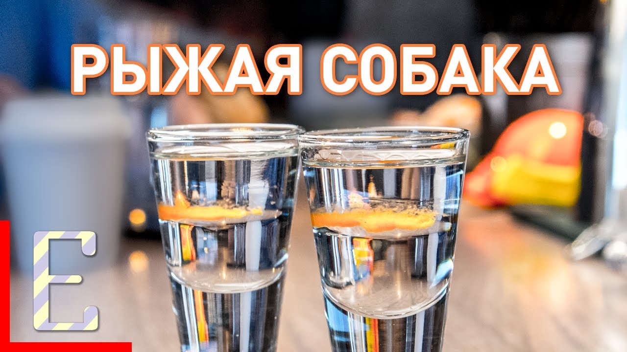 Рыжая собака — рецепт коктейля Едим ТВ