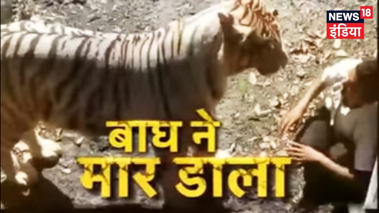 Delhi Zoo Me Yuvak Bagh Ke Baade Me Ghusa Hamle Me Maut Delhi