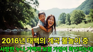 2016년 태백의 계곡에서 물놀이중 사고로 숨진 누나. 몇일후 알게된 거액의 보험가입 고의인가 사고인가 누나를 잃은 동생이 밝혀낸 충격 진실
