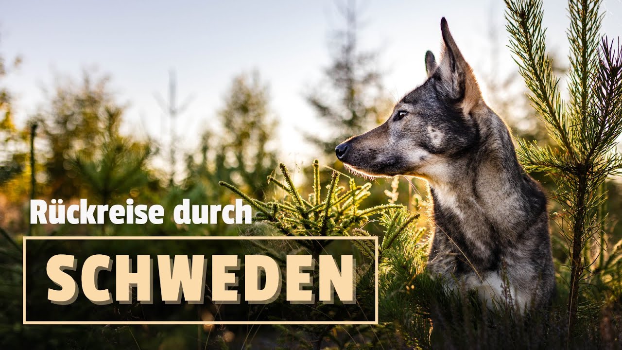 Wir können nicht ewig weglaufen