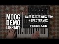 Messenger | Spectravox Feedback