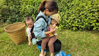 Single mother 17 years old met the lost baby and found a family for her baby - harvest persimmon