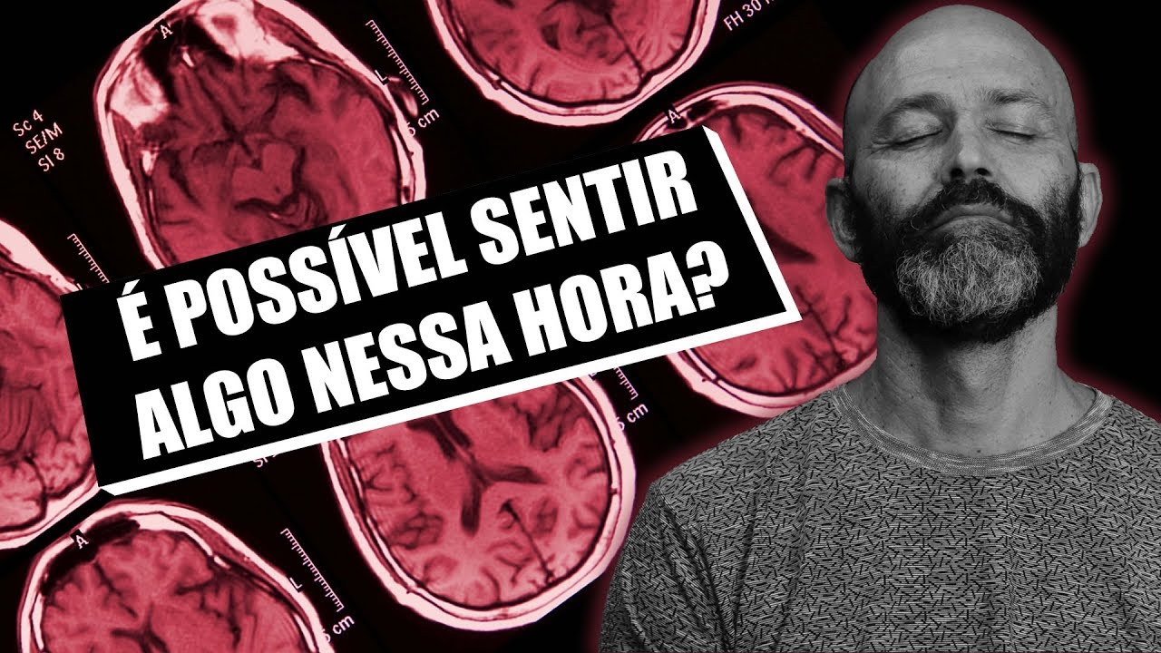 O QUE ACONTECE COM NOSSO CÉREBRO NA HORA DA MORTE? YouTube