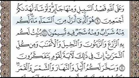 سورة النحل الصفحة 268 الشيخ محمد صديق المنشاوي