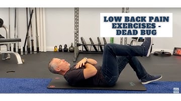 Seven Great Exercises for Lower Back Pain - Dynamic Core Stability - Dead Bug