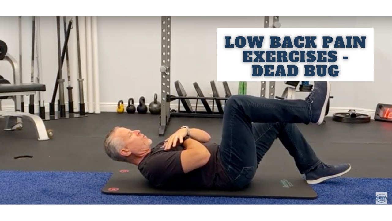 Seven Great Exercises For Lower Back Pain - Dynamic Core Stability Program - Dead Bug
