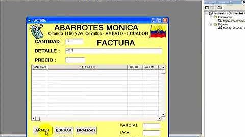 Factura en Visual Basic 6.0