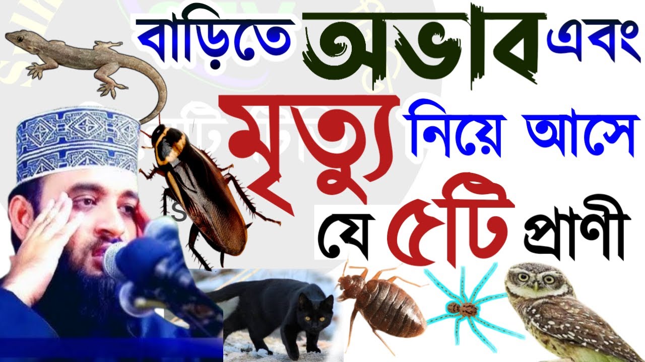 🛑সাবধান বাড়ীতে অভাব এবং মৃত্যু নিয়ে আসে যে ৫ টি প্রান 💚মিজানুর রহমান আজহারী=28 Feb 202619:10