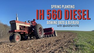Planting Oats and Alfalfa with IH 560 Diesel and 510 Grain Drill