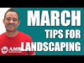 4 desert landscaping tips for march