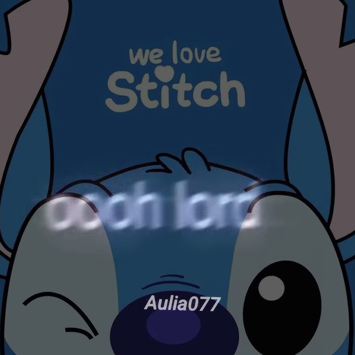 CCP Stitch✨✨
