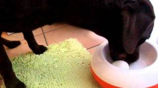 DSCF6259.AVI
