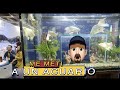 LA EXPO DE MASCOTAS EN CHINA ES ENORME||||||😱😳🐟🐠🐡