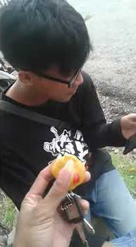 Jaman now alarm mobil yang canggih