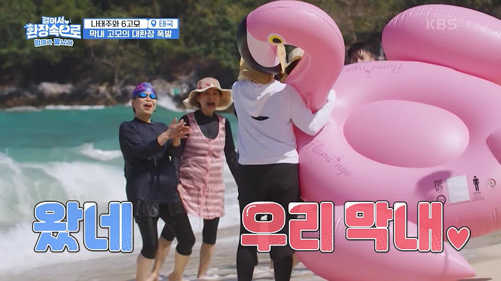 속상한 마음 뒤로하고 대형 튜브 불어온 고모6..🦩😋 [걸어서 환장 속으로] | KBS 230322 방송
