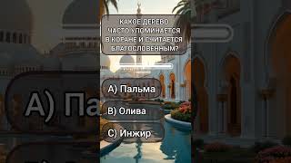 тест на знание ислама #тест #ислам #коран #Аллах #Пророк #сунна #хадис  #покорность #вера #иман #Бог