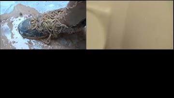 Up To Faster Quadparison To HowToBasic V8