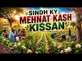 Hardworking farmers of sindh are working in their fields.