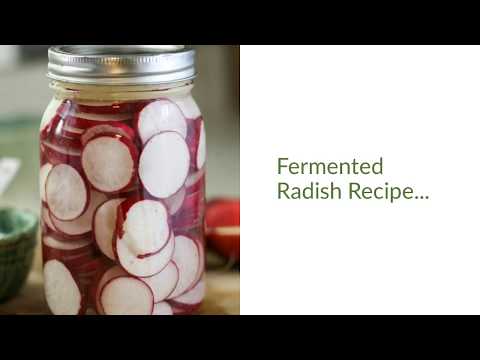 Video: Byl to fermentační filtrát leuconostoc/ředkvičky?