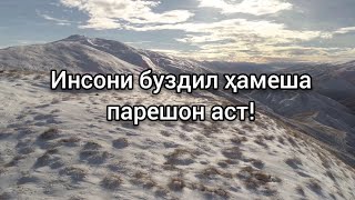Шайх Пурдил - Инсони Тарсу Хоин Ҳамеша Парешон Аст Ufilm Tj