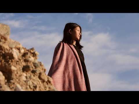 The Ladakh Pashmina