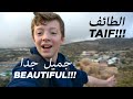 أنا أحب الطائف كثيرا-I love Taif!!!