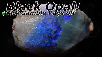 Opal Shell Turns Black Unreal Color Most Insane Opal Cut Yet!