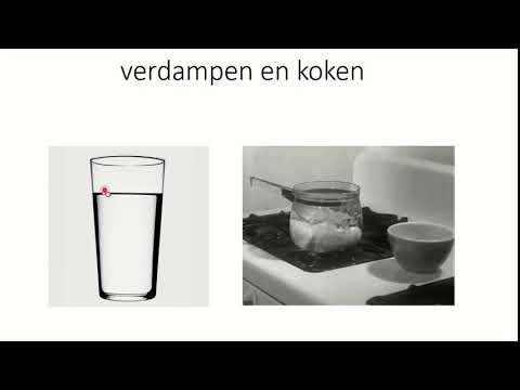 Video: Verschil Tussen Koken En Verdampen