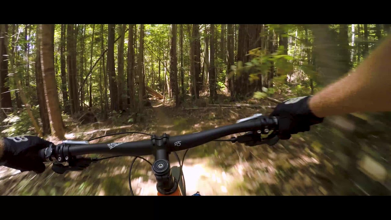 best wearable gimbal for mountain biking