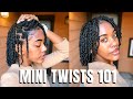 JUICY MINI TWISTS ON NATURAL HAIR!!! PERFECT PROTECTIVE STYLE FOR WINTER! | MINI TWISTS 101 EP 1