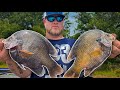 Trophy bluegill fishing with live crickets monster texas bluegill