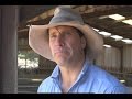 My Farm300 journey: Victorian mixed farming producer and feedlot operator Simon Ross (part 1 of 2)