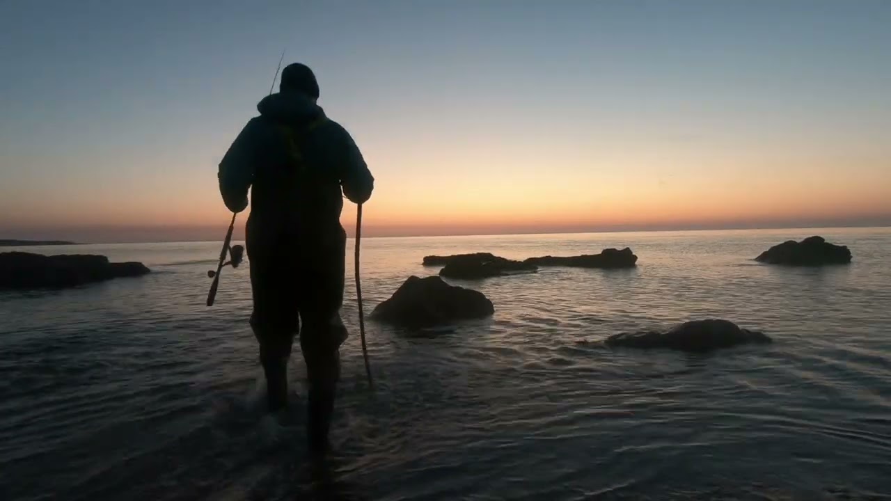 Full Moon bass Fishing Fiasco:  Seemingly massive Hit was a Monster mullet !