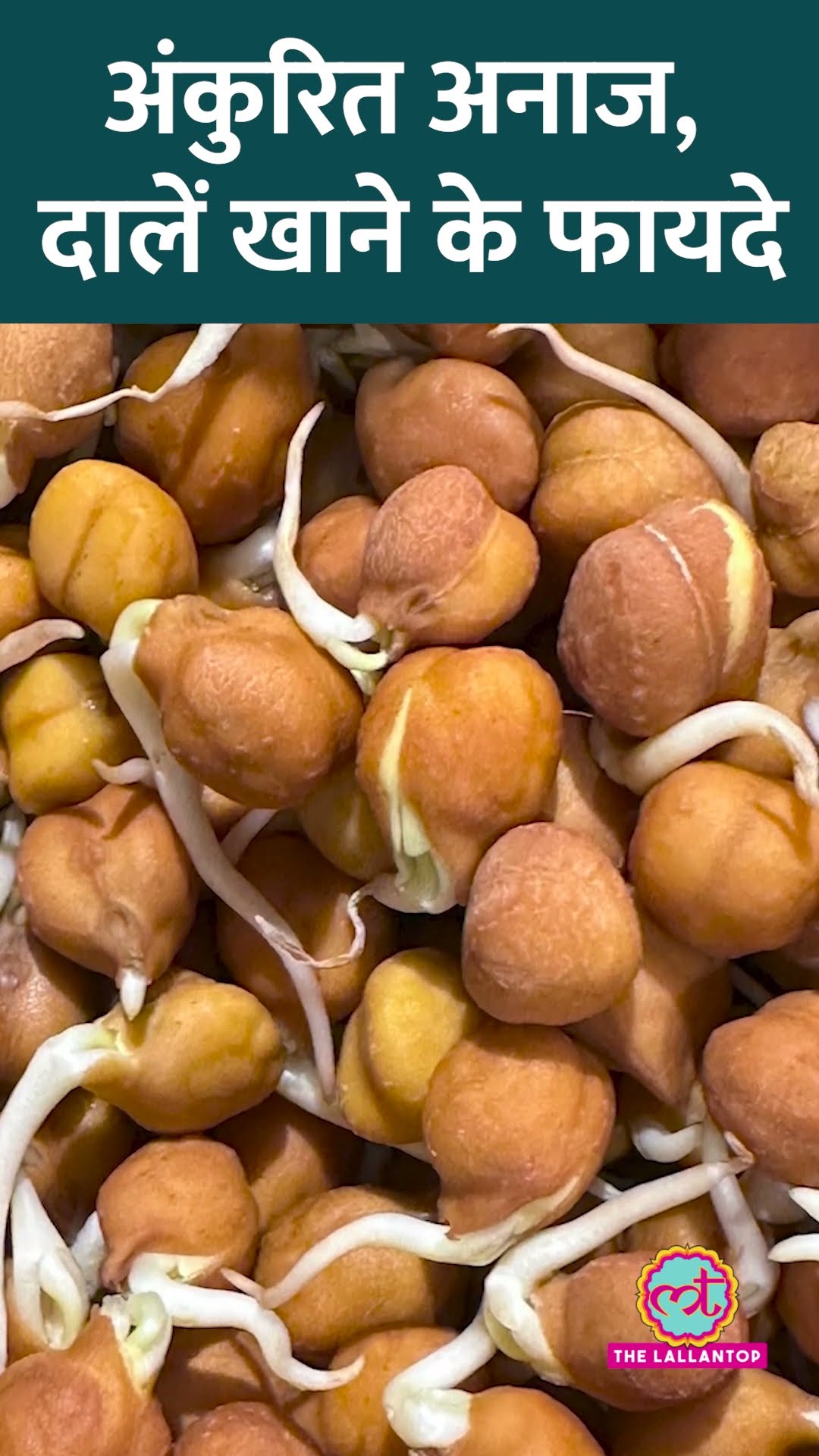 Sprouts खाने के Health Benefits क्या हैं? एक्सपर्ट ने बताया! #Sehat #ltsehat