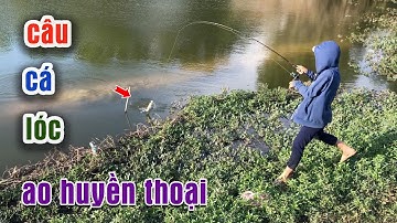 Câu Lure Cá Lóc ● Trở Lại Cái Ao Huyền Thoại Đầu Mùa Mưa Và Cái Kết | Tâm Râu Vlog #136