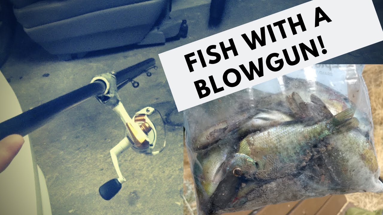 DIY Detachable Blowgun Fishing Rig (Frogs, Fish, etc) 