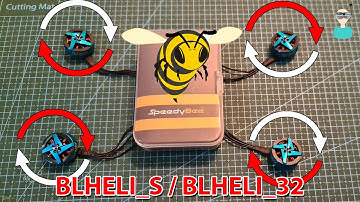 Easily Adjust Motors Direction Using SpeedyBee App (BLHELI_S & BLHELI_32)